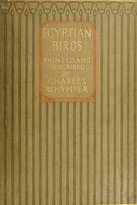 Cover of Egyptian Birds For the most part seen in the Nile Valley