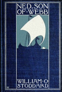 Cover of Ned, the son of Webb: What he did.