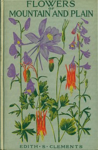 Cover of Flowers of mountain and plain