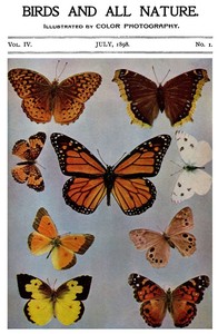 Cover of Birds and All Nature, Vol. 4, No. 1, July 1898 Illustrated by Color Photography