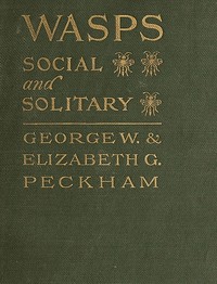 Cover of Wasps, Social and Solitary