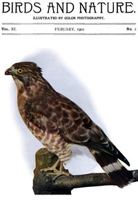 Cover of Birds and Nature Vol. 11 No. 2 [February 1902] Illustrated by Color Photography