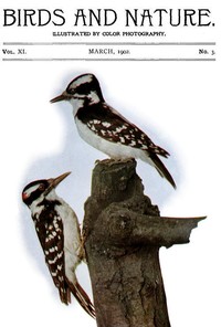 Cover of Birds and Nature Vol. 11 No. 3 [March 1902] Illustrated by Color Photography