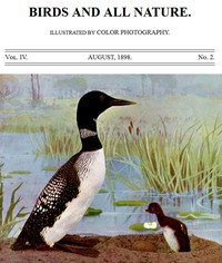 Cover of Birds and All Nature, Vol. 4, No. 2, August 1898 Illustrated by Color Photography