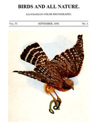 Cover of Birds and All Nature, Vol. 4, No. 3, September 1898 Illustrated by Color Photography