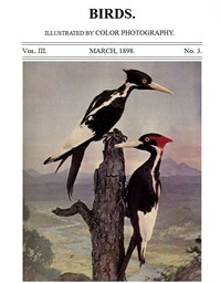 Cover of Birds and All Nature, Vol. 3, No. 3, March 1898 Illustrated by Color Photography