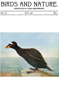 Cover of Birds and Nature Vol. 09 No. 5 [May 1901] Illustrated by Color Photography