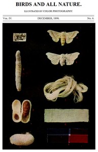 Cover of Birds and All Nature, Vol. 4, No. 6, December 1898 Illustrated by Color Photography