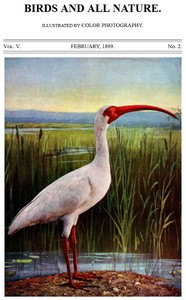 Cover of Birds and All Nature, Vol. 5, No. 2, February 1899 Illustrated by Color Photography