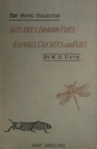 Cover of The Young Collector's Handbook of Ants, Bees, Dragon-flies, Earwigs, Crickets, and Flies (Hymenoptera, Neuroptera, Orthoptera, Hemiptera, Diptera).