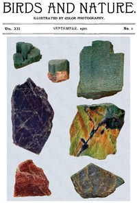Cover of Birds and Nature, Vol. 12 No. 2 [July 1902] Illustrated by Color Photography