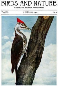 Cover of Birds and Nature, Vol. 12 No. 4 [September 1902] Illustrated by Color Photography