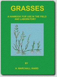 Cover of Grasses : $b A handbook for use in the field and laboratory