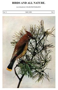Cover of Birds and All Nature, Vol. 5, No. 5, May 1899 Illustrated by Color Photography