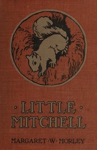 Cover of Little Mitchell: The Story of a Mountain Squirrel