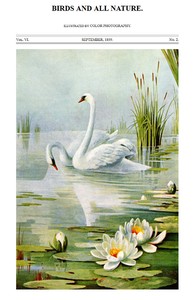 Cover of Birds and All Nature, Vol. 6, No. 2, September 1899 Illustrated by Color Photography