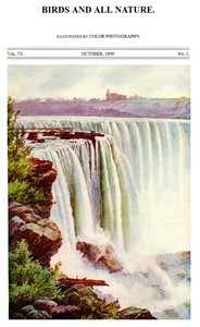 Cover of Birds and All Nature, Vol. 6, No. 3, October 1899 Illustrated by Color Photography