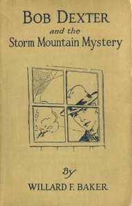 Cover of Bob Dexter and the Storm Mountain Mystery; or, The Secret of the Log Cabin