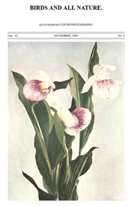 Cover of Birds and All Nature, Vol. 6, No. 4, November 1899 In Natural Colors