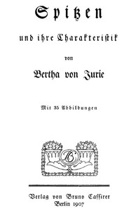 Cover of Spitzen und ihre Charakteristik