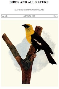 Cover of Birds and All Nature, Vol. 7, No. 1, January 1900 Illustrated by Color Photography