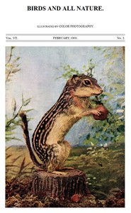 Cover of Birds and All Nature, Vol 7, No. 2, February 1900 Illustrated by Color Photography