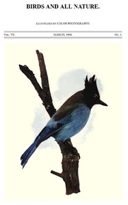 Cover of Birds and All Nature, Vol 7, No. 3, March 1900 Illustrated by Color Photography