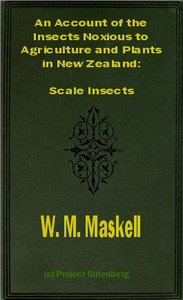 Cover of An Account of the Insects Noxious to Agriculture and Plants in New Zealand The Scale Insects (Coccididae)
