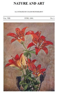 Cover of Birds and Nature, Vol. 08, No. 1, June 1900 In Natural Colors