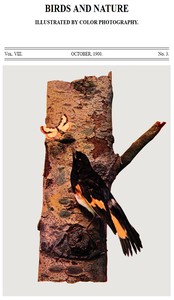 Cover of Birds and Nature Vol. 08, No. 3, October 1900 Illustrated by Color Photography