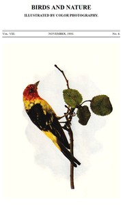 Cover of Birds and Nature, Vol. 08, No. 4, November 1900 Illustrated by Color Photography