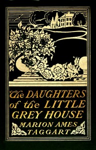 Cover of The Daughters of the Little Grey House