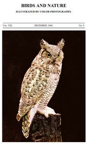 Cover of Birds and Nature, Vol. 08, No. 5, December 1900 Illustrated by Color Photography