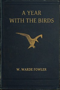 Cover of A Year with the Birds Third Edition, Enlarged