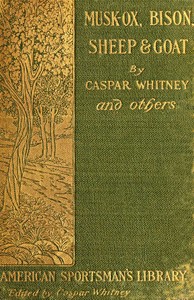 Cover of Musk-Ox, Bison, Sheep and Goat