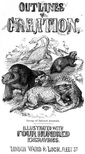 Cover of Outlines of Creation