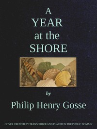 Cover of A year at the shore