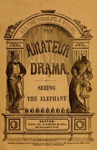 Cover of Seeing the Elephant