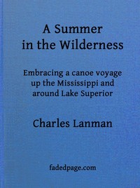 Cover of A Summer in the Wilderness embracing a canoe voyage up the Mississippi and around Lake Superior