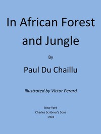 Cover of In African Forest and Jungle