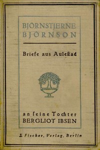 Cover of Briefe aus Aulestad an seine Tochter Bergliot Ibsen