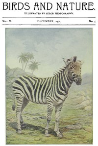 Cover of Birds and Nature Vol. 10 No. 5 [December 1901]
