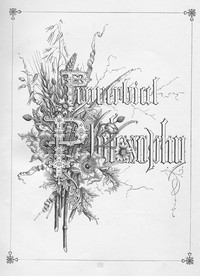 Cover of Proverbial Philosophy The First and Second Series