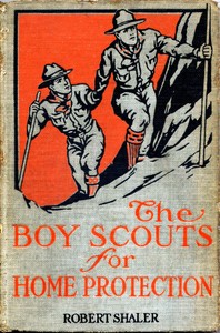 Cover of The Boy Scouts for Home Protection