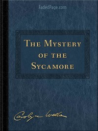 Cover of The Mystery of the Sycamore