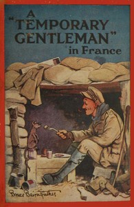 Cover of A "Temporary Gentleman" in France