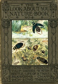 Cover of The 'Look About You' Nature Study Books, Book 4 [of 7]