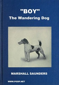 Cover of "Boy" the Wandering Dog: Adventures of a Fox-Terrier