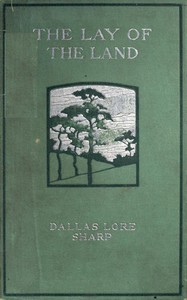 Cover of The Lay of the Land