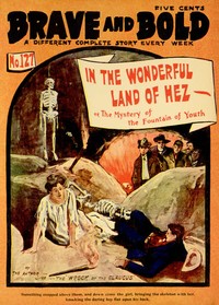 Cover of In the Wonderful Land of Hez; or, The Mystery of the Fountain of Youth